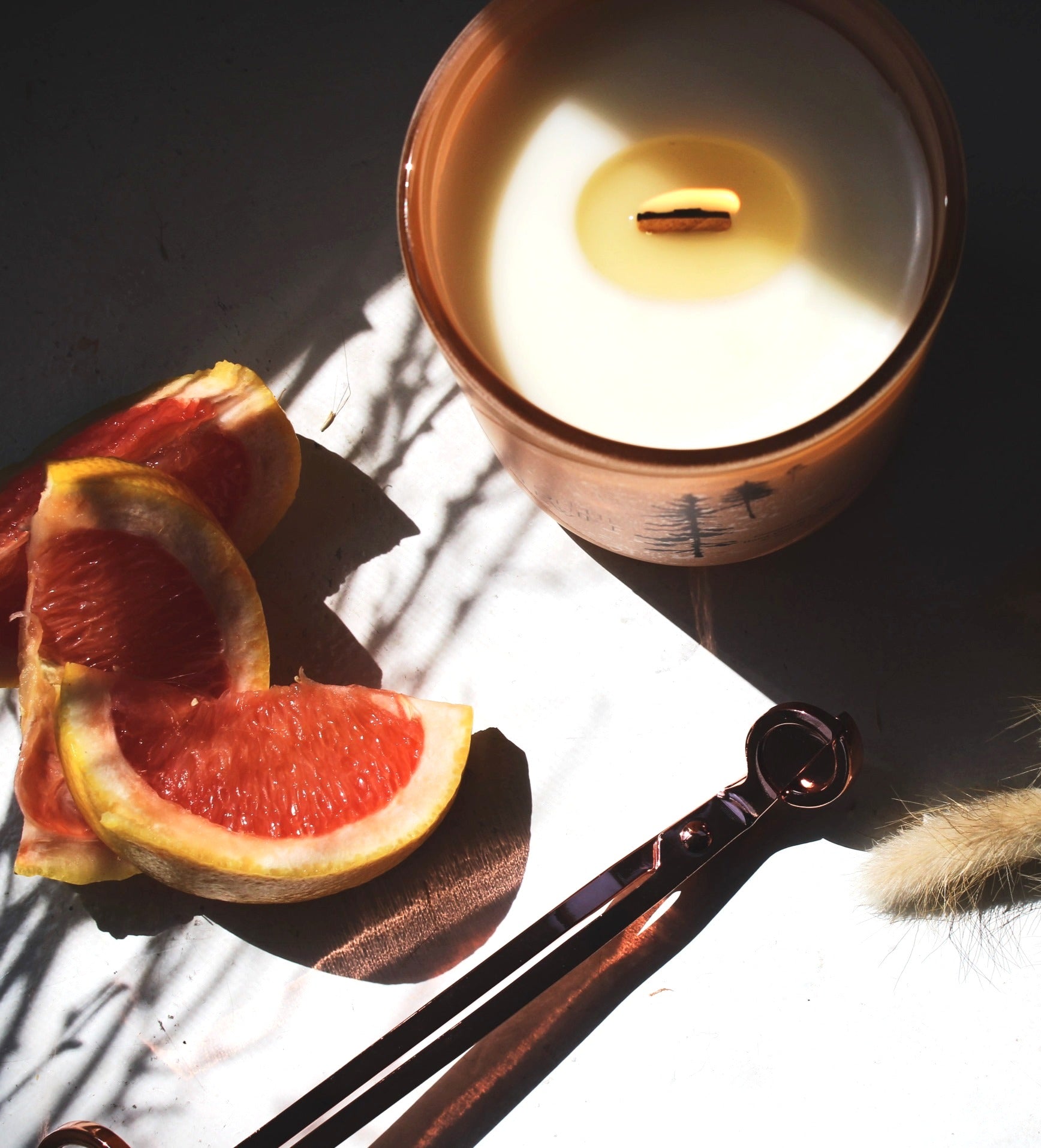 Solo Trip - Grapefruit & Agave image 0