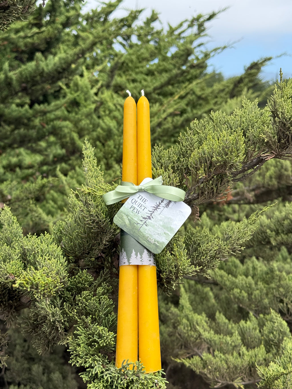 100% Natural Beeswax Tapers (2 pk)
