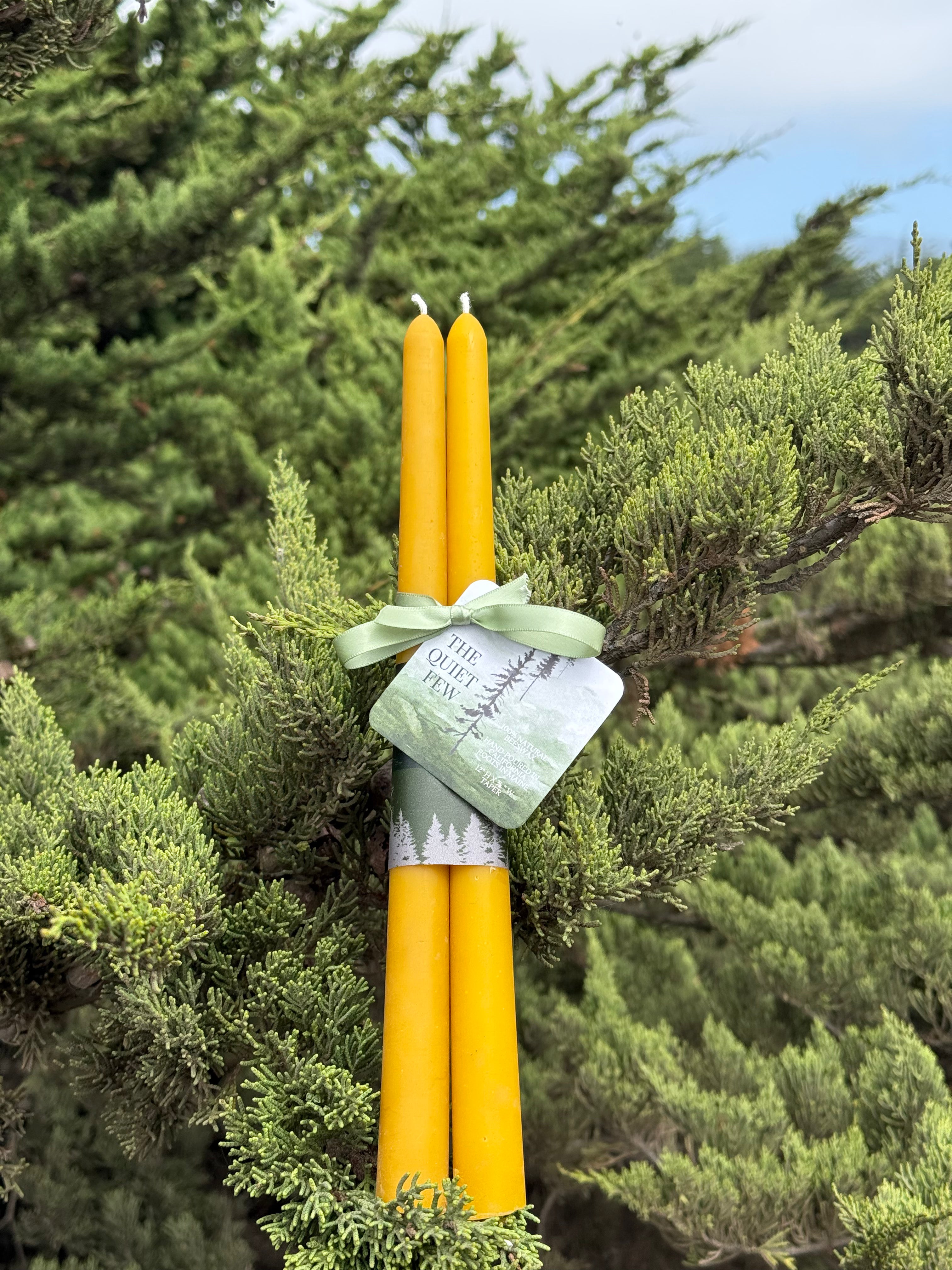 100% Natural Beeswax Tapers (2 pk)