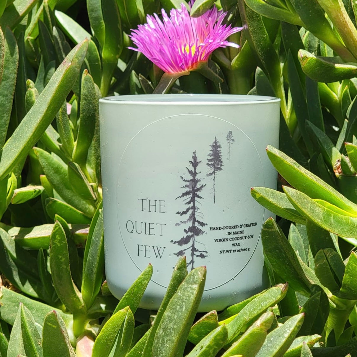 The Wallflower - Cactus Flower & Coconut image 0